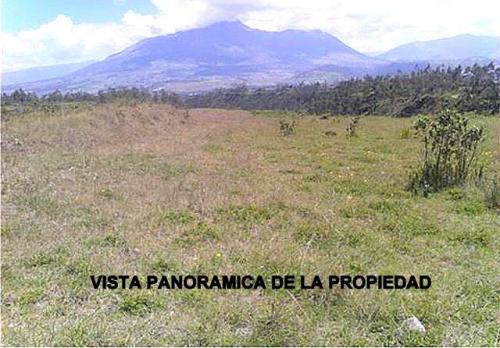 OFERTA de VENTA DE LA FINCA PAISAJISTA  “PINLLU CHUPA”