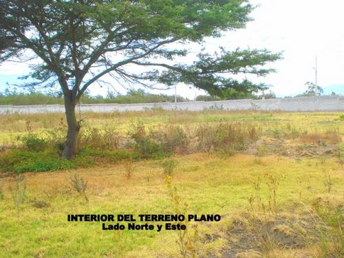 ESPECTACULAR TERRENO EN VALLE DE TUMBACO