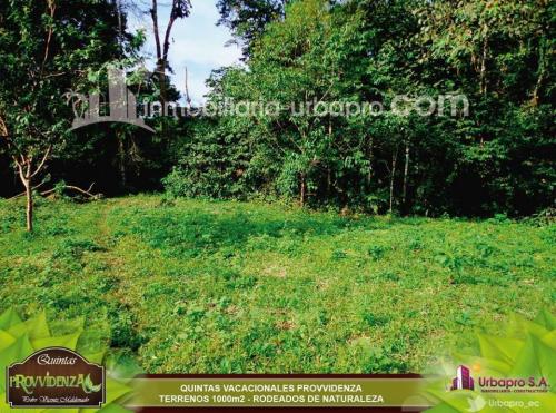 LOTES DE VENTA EN URBANIZACION PROVVIDENZA