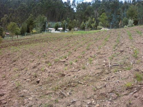 VENDO UNA PROPIEDAD DE 11.000 METROS CUADRDOS EN EL SECTOR DE MAYANCELA -CUENCA 