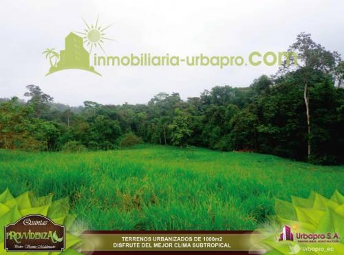 SEPARA UN TERRENO ECOLOGICO HOY MISMO