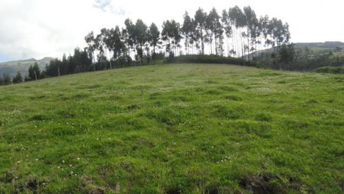 VENDO PROPIEDAD DE 12 HECTAREAS EN OTAVALO