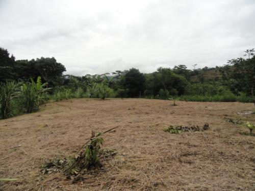 VALLEALTOINMOBILIARIA VENDE