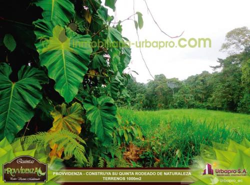 ECOLOGICOS Y CONVENIENTES TERRENOS