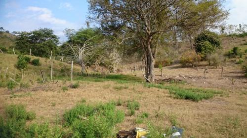 VENDO FINCA A EXCELENTE PRECIO