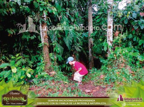 ECOLOGICA URBANIZACION VENDE SUS TERRENOS