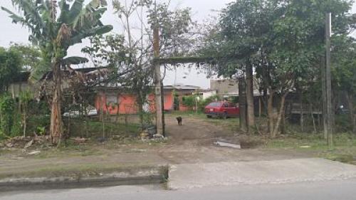 Se vende terreno de 600 metros en av. los colonos