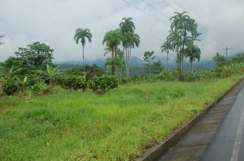 FINCA AGRÍCOLA Y MINERA  EN TIWINTZA