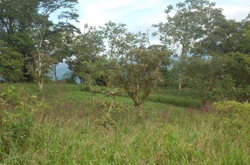 VALLEALTOINMOBILIARIA VENDE EN MACAS
