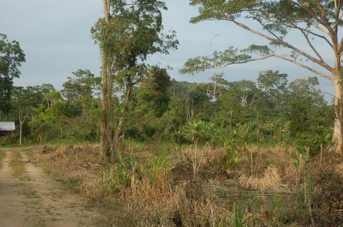 VALLEALTOINMOBILIARIA VENDE EN SUCUA