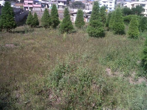 terreno de 1246 metros san isidro del inca 
