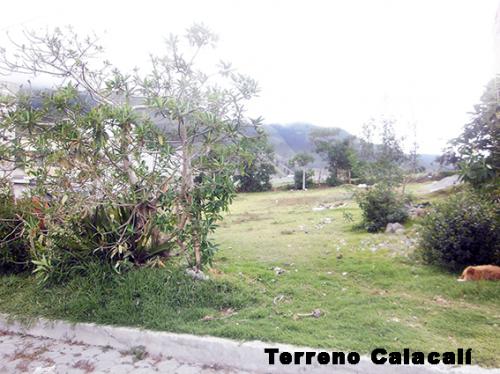 TERRENO CALACALÍ, COMPLETAMENTE PLANO, 800M2 $48.000 2353232 , 0997592747