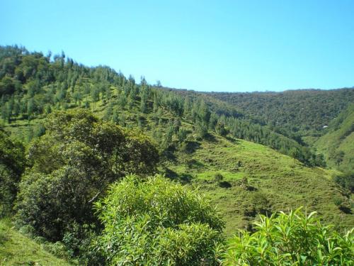 250 hectáreas de terreno, ideal para finca vacacional. Bosques Vírgenes 