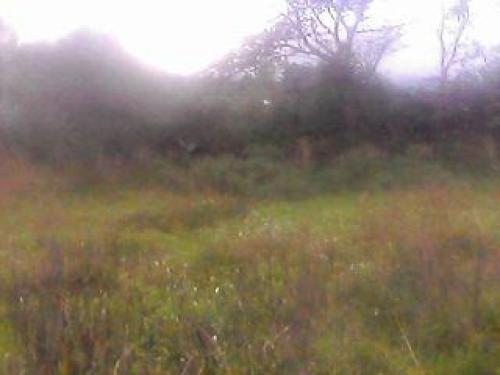 TERRENO COMERCIAL Y RESIDENCIAL