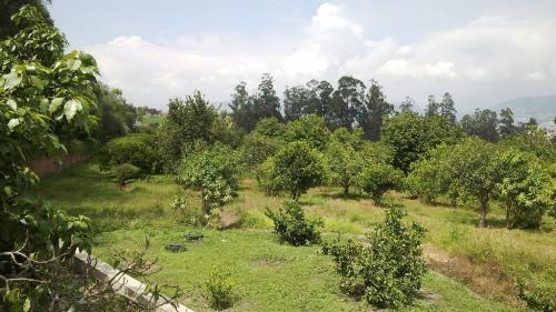 Terreno de 10.900 m2 en lujosa urbanización de Tumbaco.