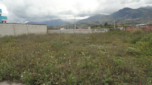 VENDO LOTE DE 500 M2 EN URCUQUI