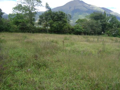  Se Vende de Oportunidad Excelente Lote Urbano en Ejido de Caranqui en la Ciudad de  Ibarra 