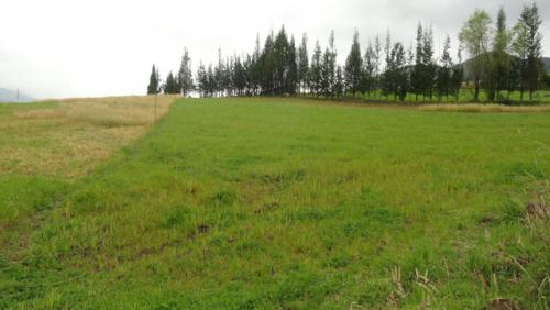 VENDO PROPIEDAD DE 8395 M2 EN CAYAMBE