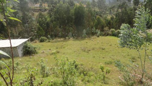 VENDO TERRENO DE 3.500 M2 EN OTAVALO, SECTOR CALPAQUI