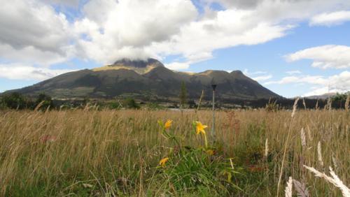 VENDO TERRENO PLANO EN OTAVALO, SECTOR CARABUELA