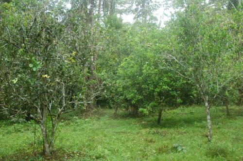 VALLEALTOINMOBILIARIA VENDE