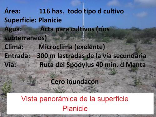 HAS REALIDAD TU PROYECTO AGRÍCOLA