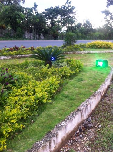 EN AMBIENTE ECOLOGICO TE OFRECEMOS LOTES