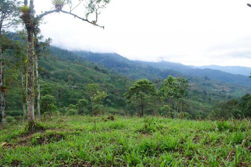VALLEALTOINMOBILIARIA VENDE EN JIMBITONO