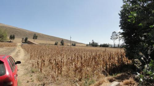VENDO TERRENO DE 3.200 METROS EN TABACUNDO