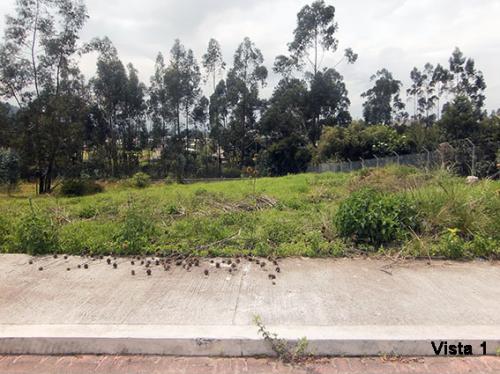TERRENO PLANO, SECTOR LA RIVERA, CONOCOTO, EN URBANIZACIÓN,968M2 $97.000 2353232, 0997592747