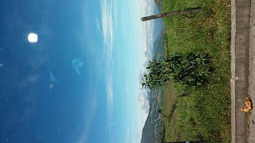 LOTES DE TERRENO DE 200mts EN TONSUPA