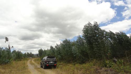 VENDO TERRENO DE 10.000 EN OTAVALO, SECTOR GUALSAQUI
