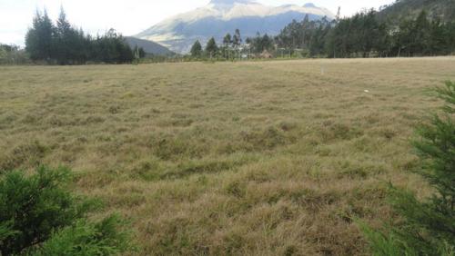 Vendo terreno de 3252 m2 en Otavalo sector Quichinche
