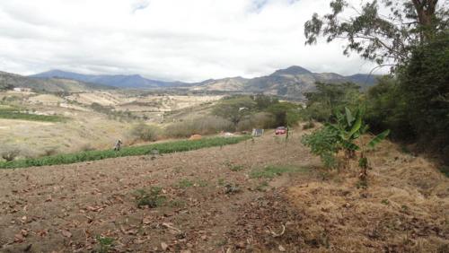 VENDO PROPIEDAD DE 14.000 M2 EN SECTOR RURAL DE URCUQUI