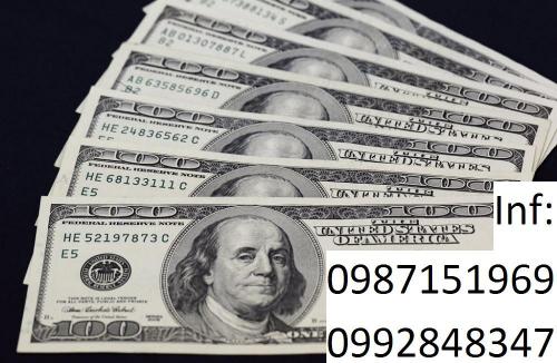 A raíz de la crisis financiera y económica