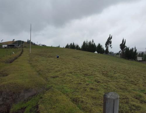 VENDO 1 HECTÁREA EN CAYAMBE