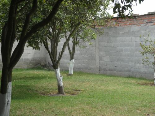 TERRENO EN CONOCOTO