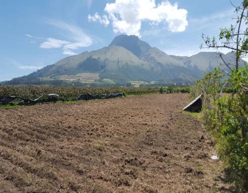 VENDO BONITO LOTE DE 2650M2 PLANOS EN CARABUELA
