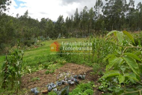 TERRENO AMPLIO DE VENTA EN CUENCA SECTOR RIO AMARILLO