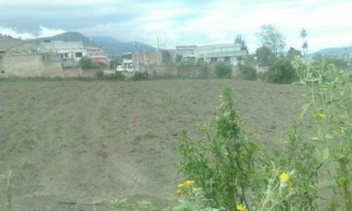 SE VENDE LOTES DE TERRENO DE 250m2 EN EL GIRON DE CHILLOGALLO 25.000