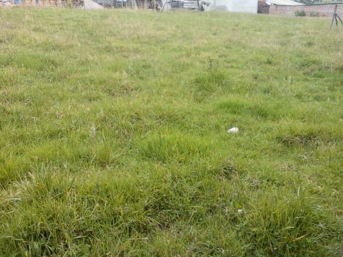 Vendo este hermoso terreno de 320 metros en huizhil 