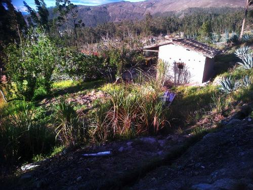 Venta de una propiedad