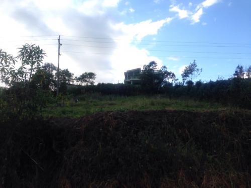 TAMBILLO VENDO TERRENO 500m a 40.000