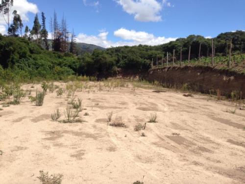 VENDO EN PIFO LOTE DE 200m A 13.000