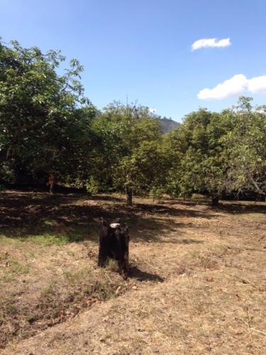 GUAYLLABAMBA VENDO LOTE DE 1000 METROS