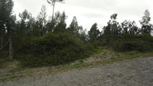 Vendo propiedad de 9.500 m2 en Cotacachi