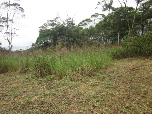 terreno de oportunidad 