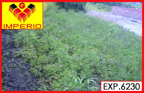 TERRENO CUTUGLAHUA
