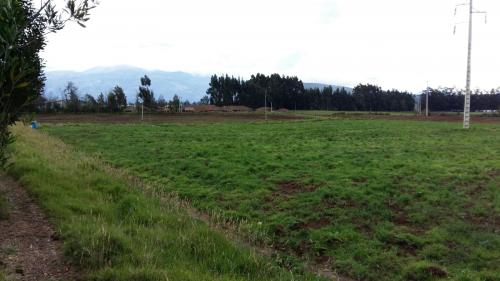 Terreno 300m2 en la mejor zona de Cayambe