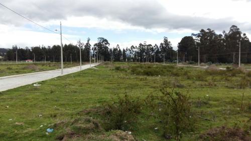 Terreno en Ayora